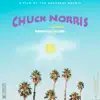 Badaruofficial - Chuck Norris (feat. Alonzi) - Single